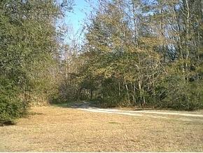 24119 NW 52nd Terr, Gainesville, FL 32658