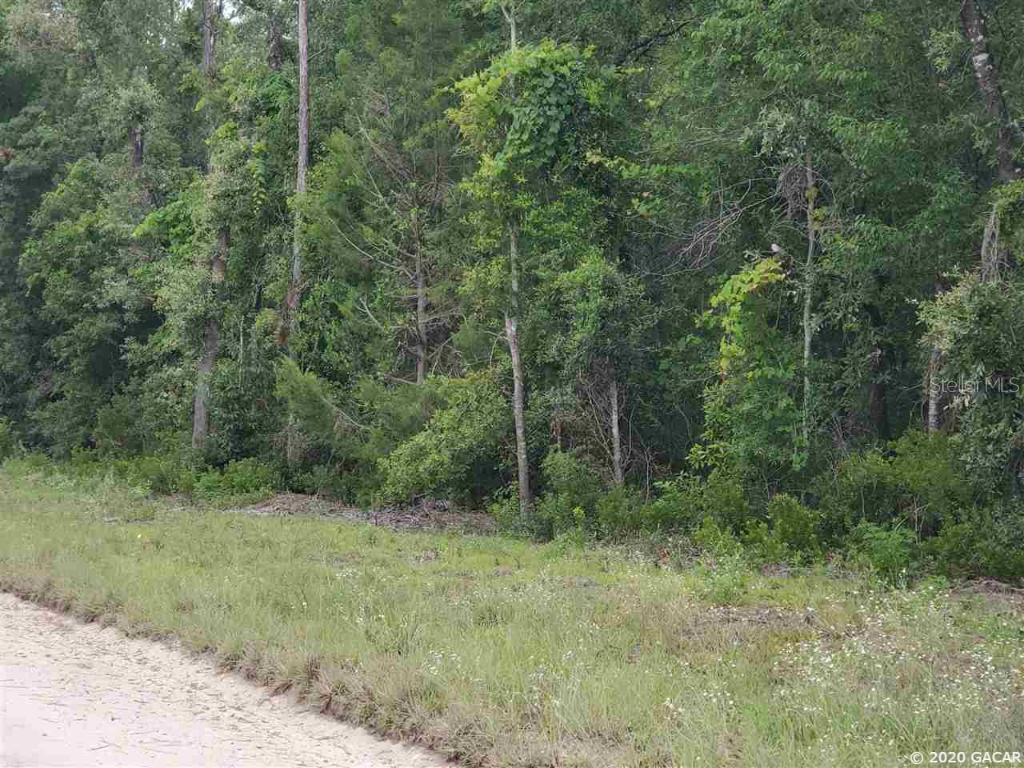 TBD NE 9th St., Williston, FL 32696