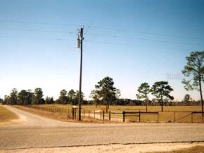 Highway 316, Williston, FL 32696