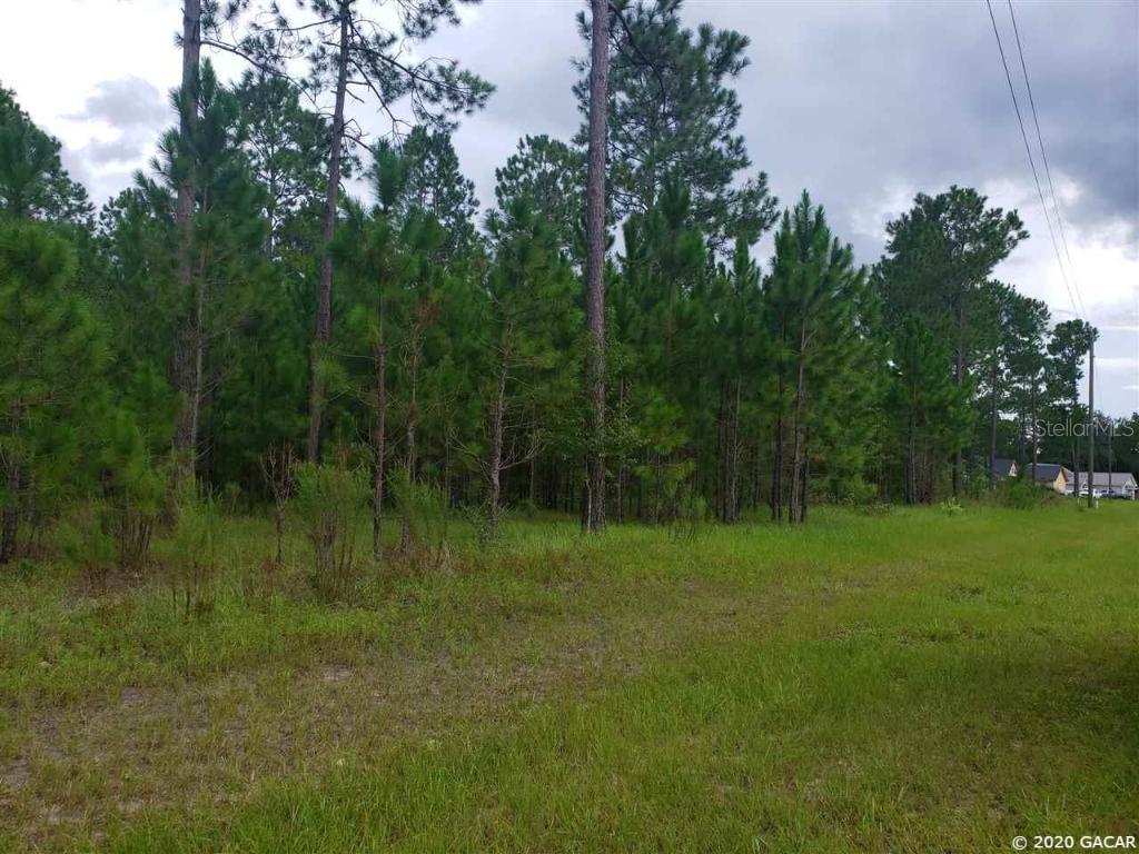 0000 S Cr 231, Lake Butler, FL 32054