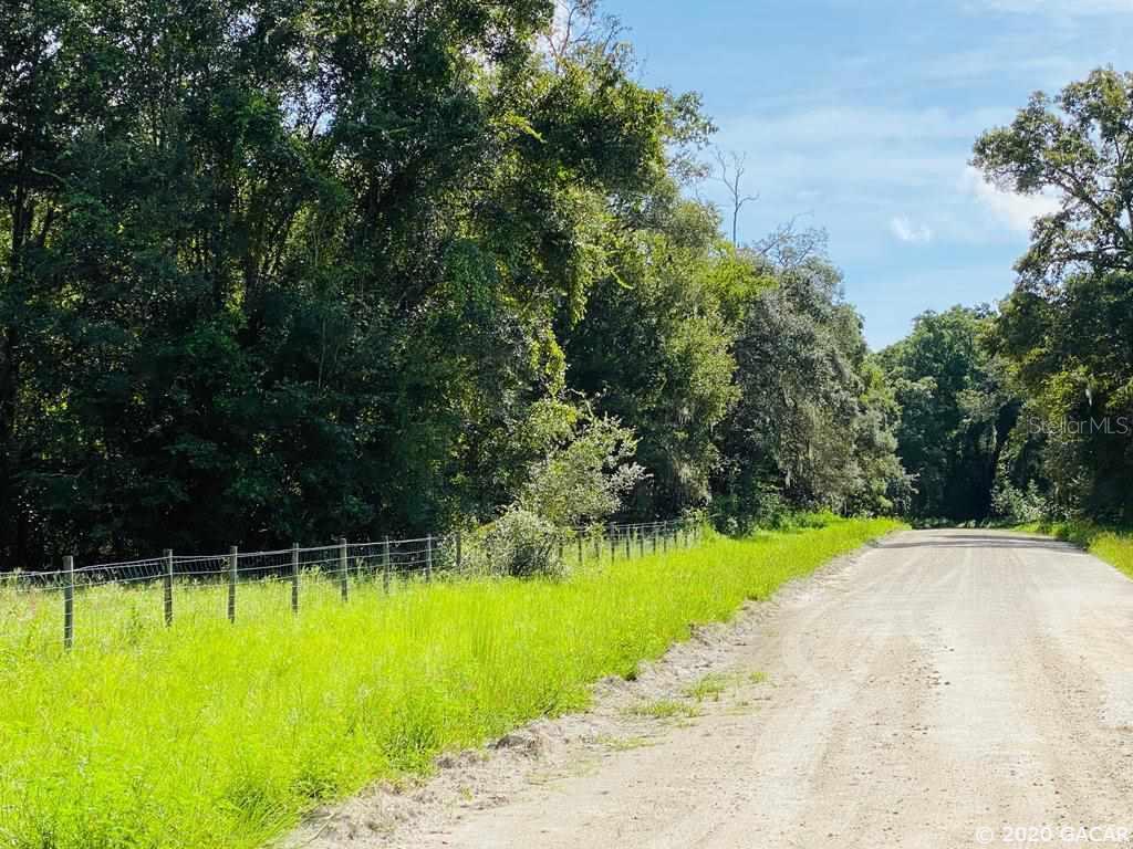 Lot 5 NW 76 Ct., Chiefland, FL 32626