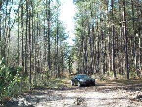 21701 NW 75th Ave R, Other, FL 32667