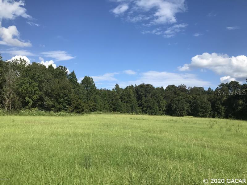 4232 SW 109th Lane, Lake Butler, FL 32054