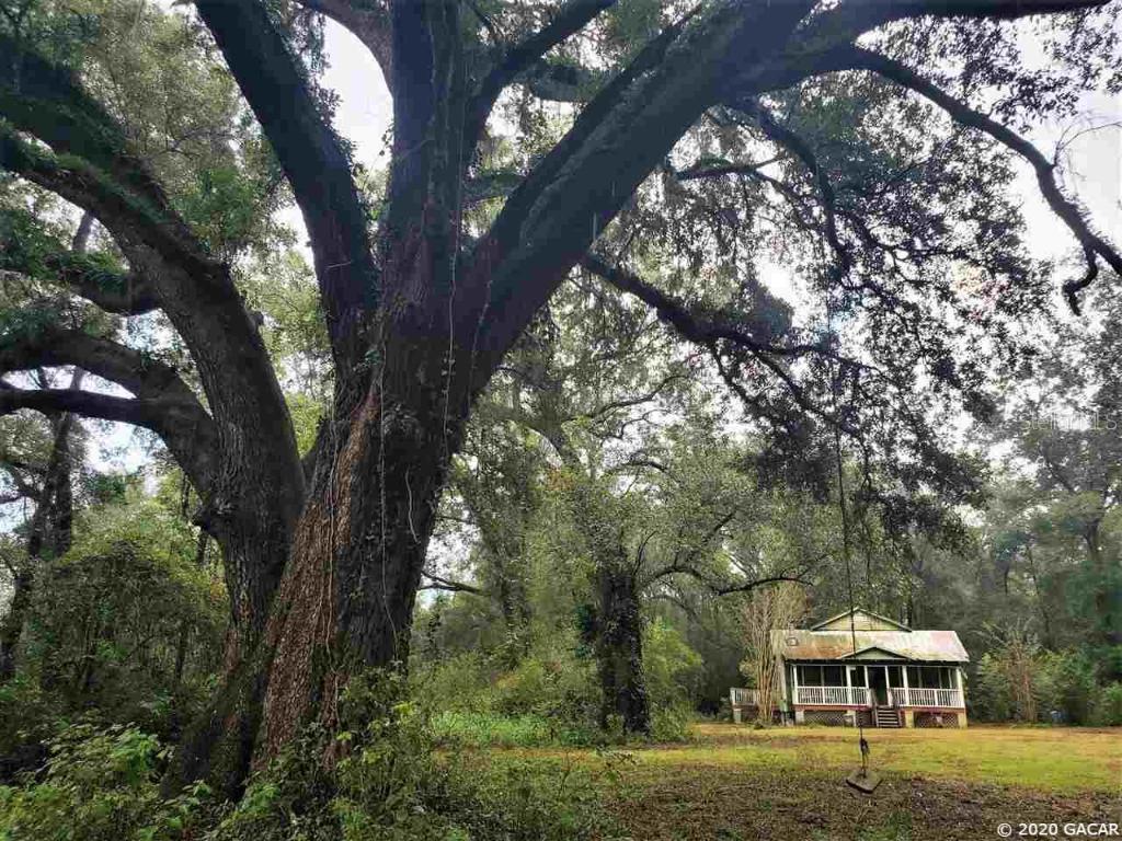 826 NE 218 Ave., Gainesville, FL 32609