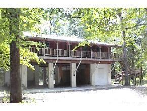 Rattlesnake, Gainesville, FL 32643