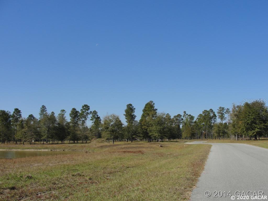 TBD SE Turkey Ridge Pl., Lake Butler, FL 32054