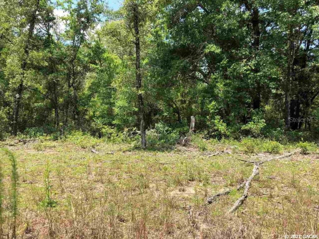 TBD NE 108 Ter., Archer, FL 32618