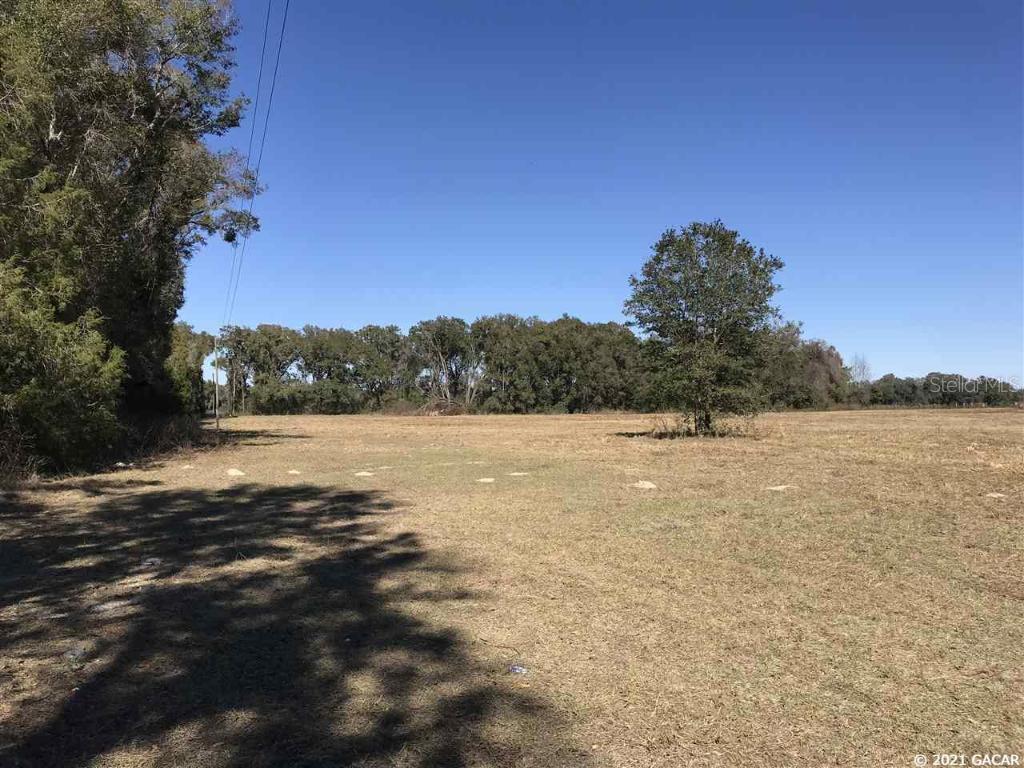 TBD NE 60th  (cr 343) St., Williston, FL 32696