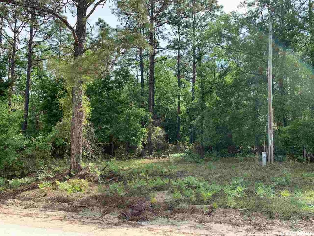 TBD NE 127th Ct., Williston, FL 32696