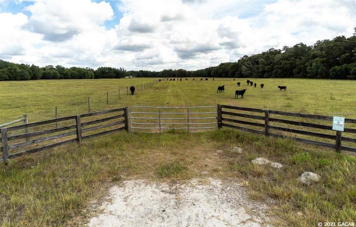 TBD NE 60th St., Williston, FL 32696