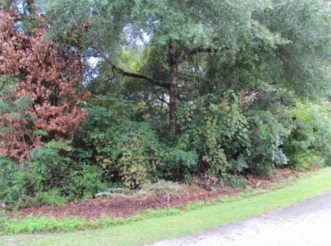 LOT 9 BLK 11 NW 110th St., Chiefland, FL 32626