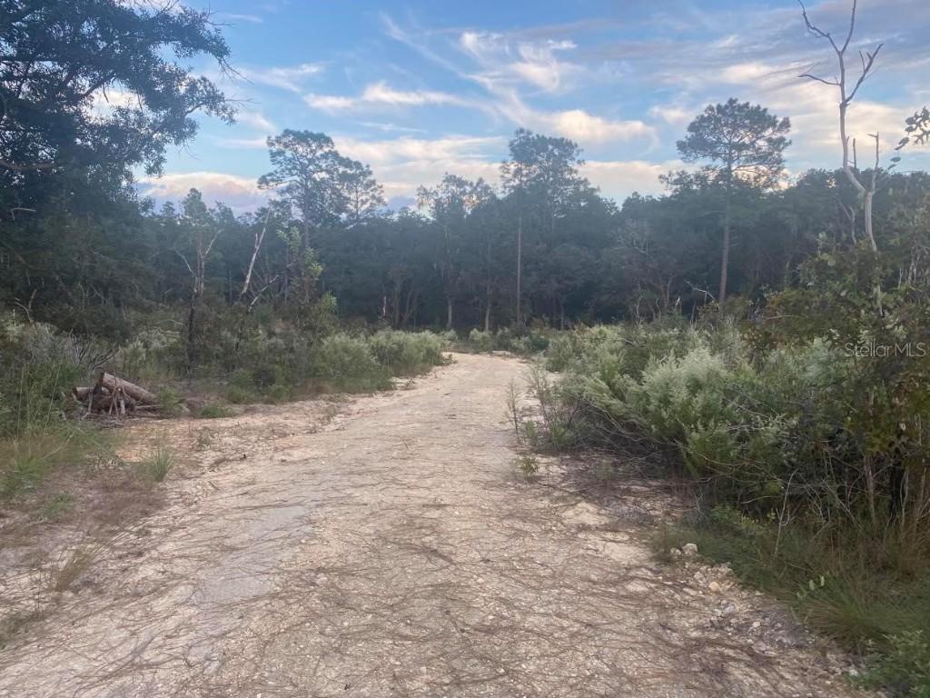 NE 108 Ter., Archer, FL 32618