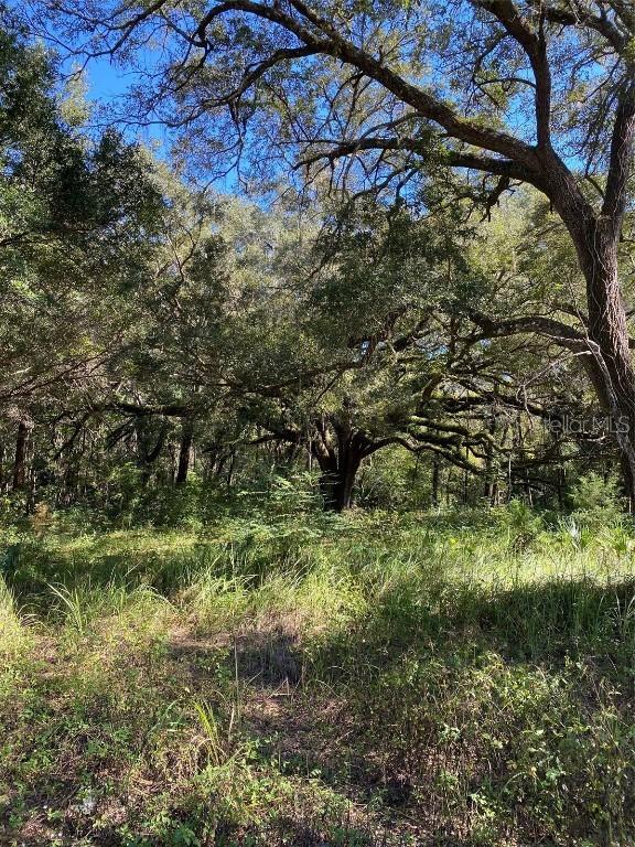 5005 SW 63rd Blvd., Gainesville, FL 32608