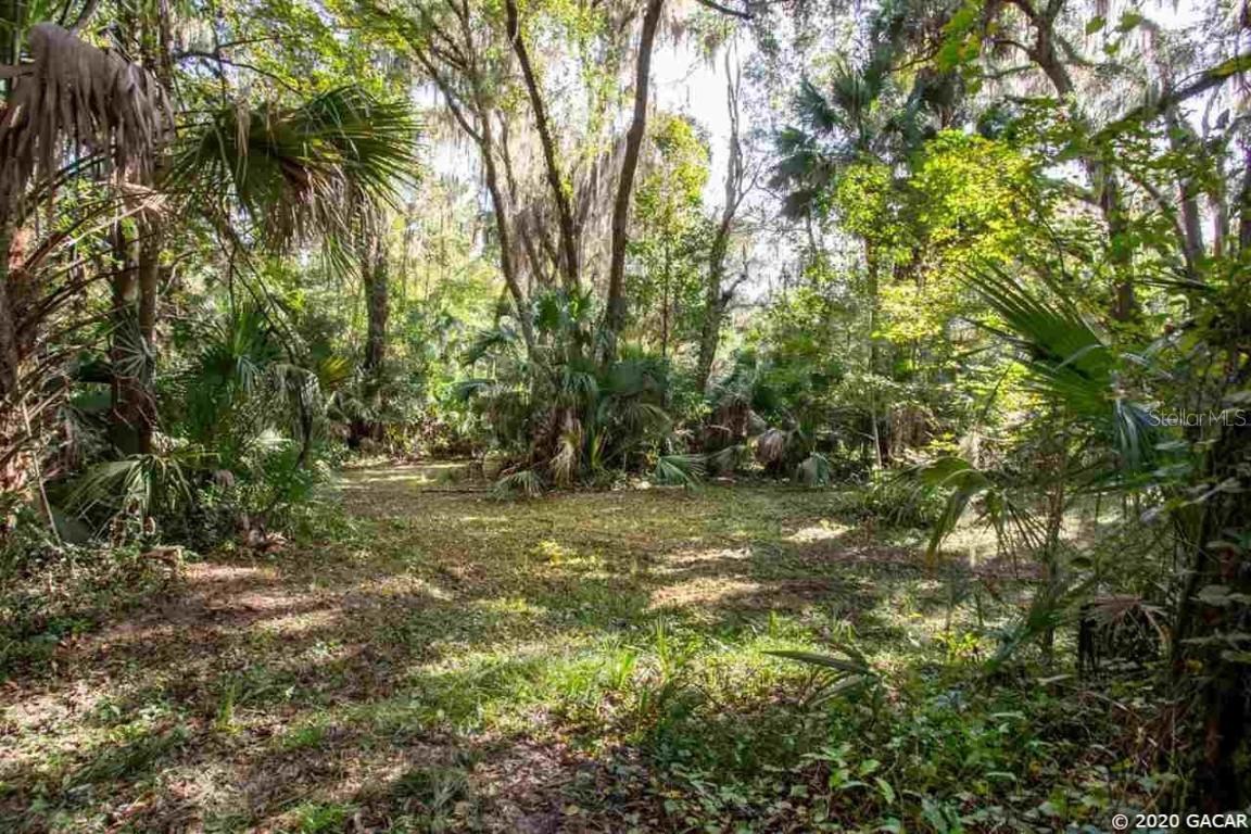 TBD SE Wacahoota Rd., Micanopy, FL 32667