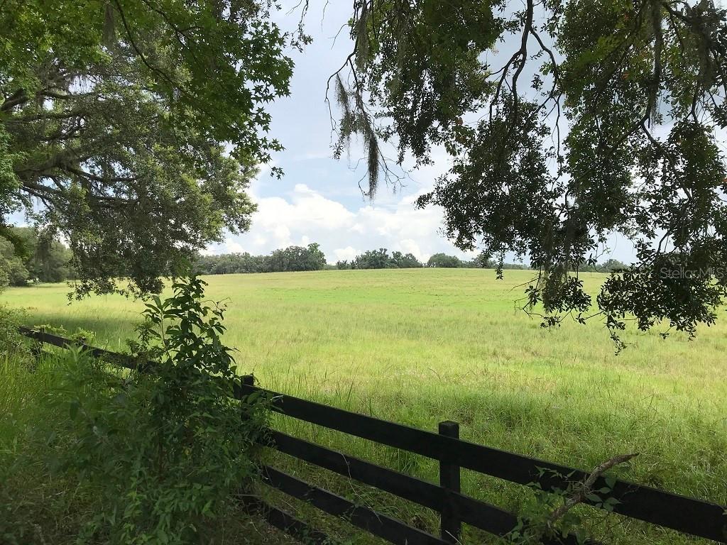 Citrus Way, Brooksville, FL 34601