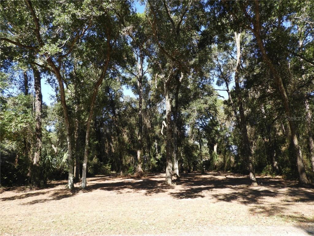 SE 27th Loop, Melrose, FL 32666