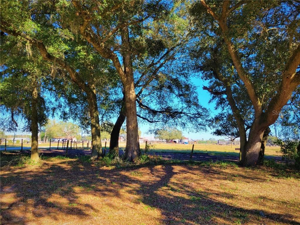 4203 SE Us Highway 301, Hawthorne, FL 32640