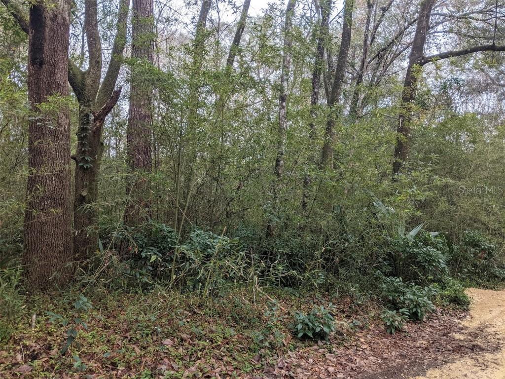 3001 SE 28th Ave., Gainesville, FL 32641