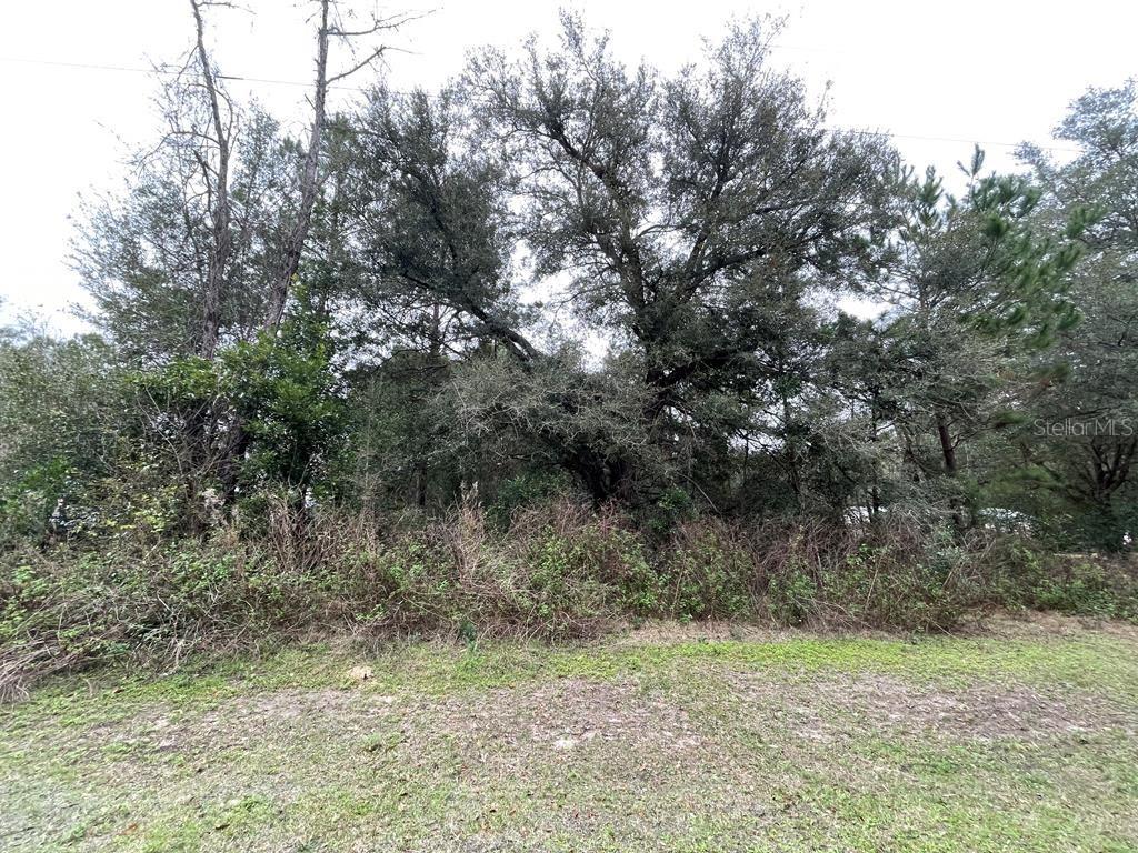 NE 46th St., Williston, FL 32696