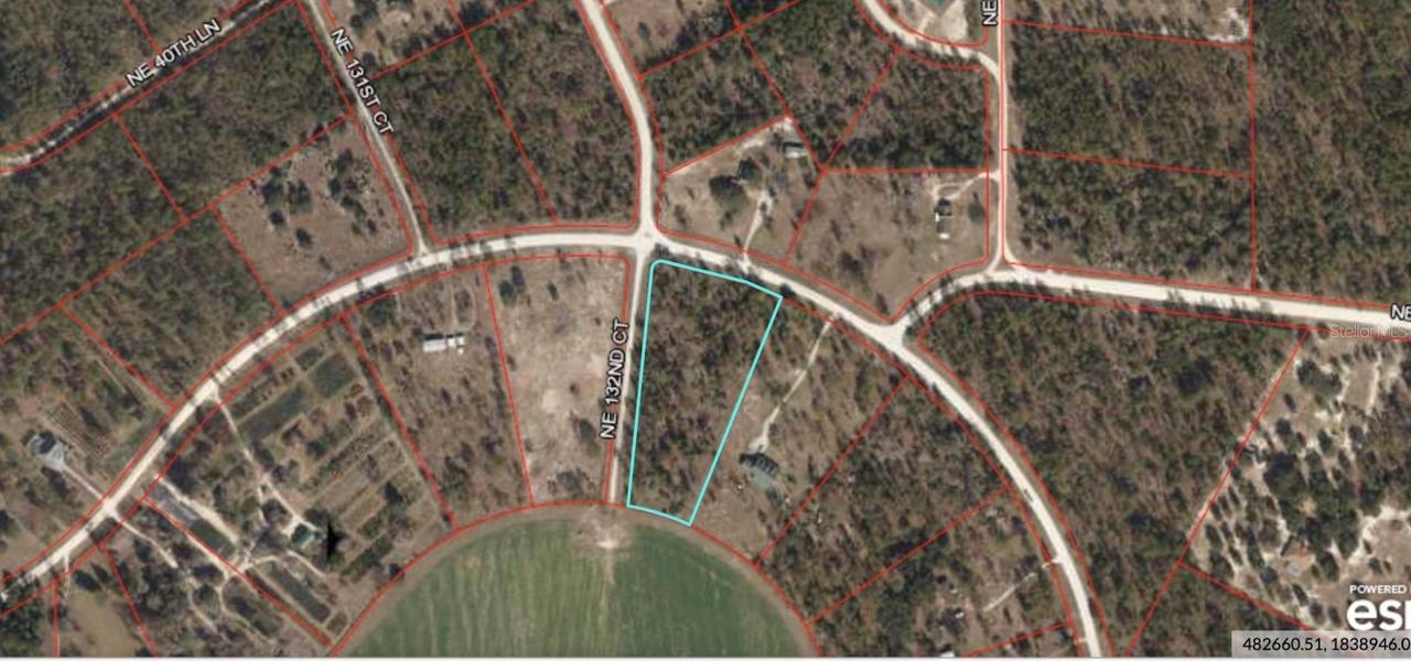 Ne 38th Place, Williston, FL 32696