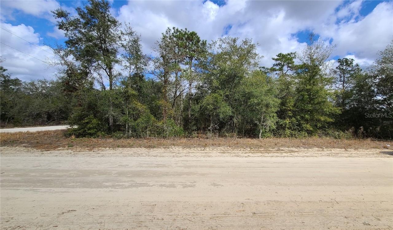 0000 NE 61st St., Williston, FL 32696