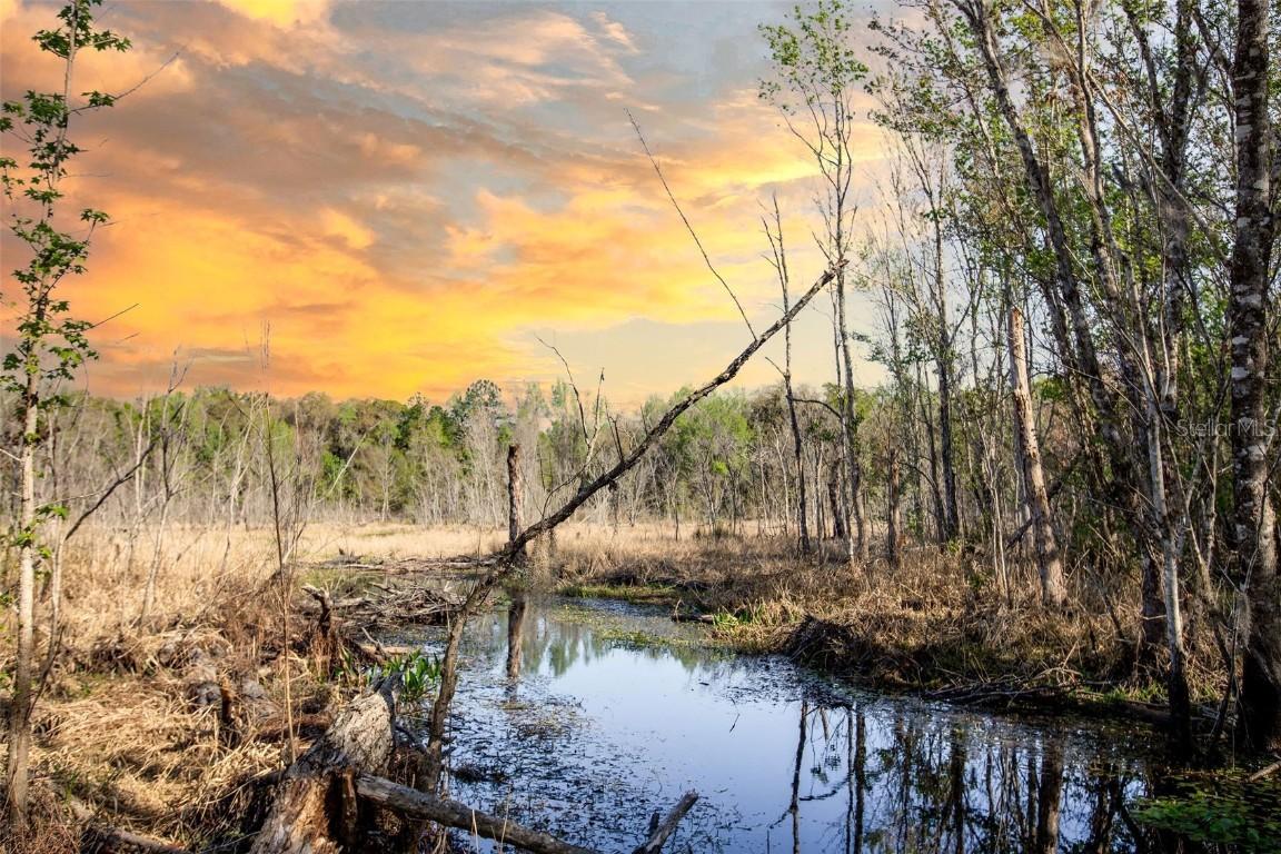 TBD SW 127th Ave., Archer, FL 32618