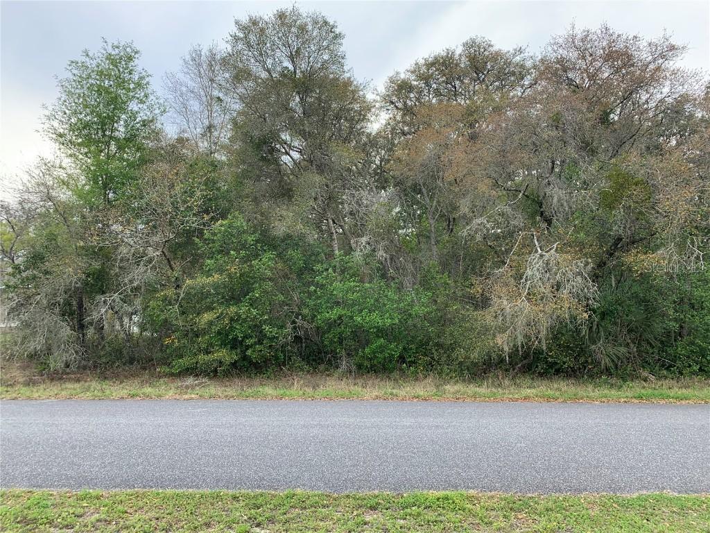 TBD SW 45th Cir., Ocala, FL 34473