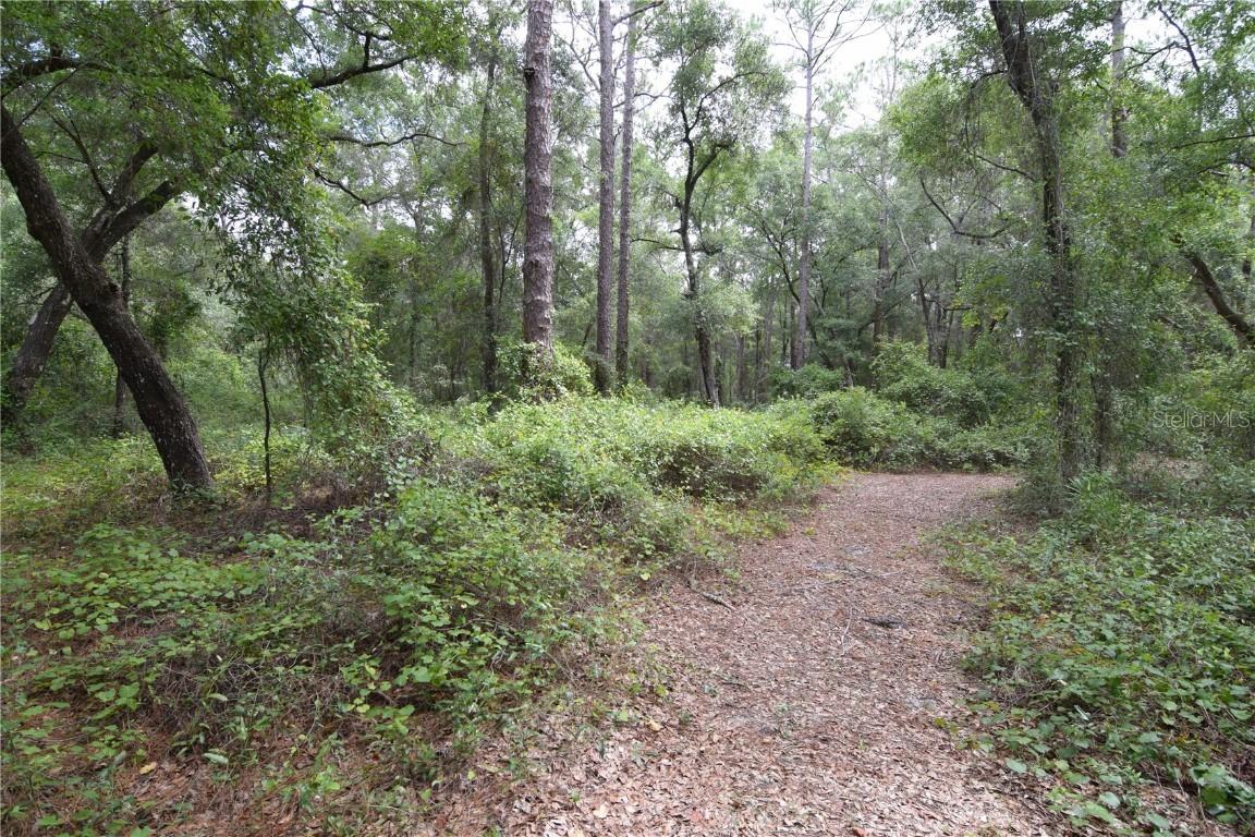 00 Ne 1st Pl., Gainesville, FL 32641