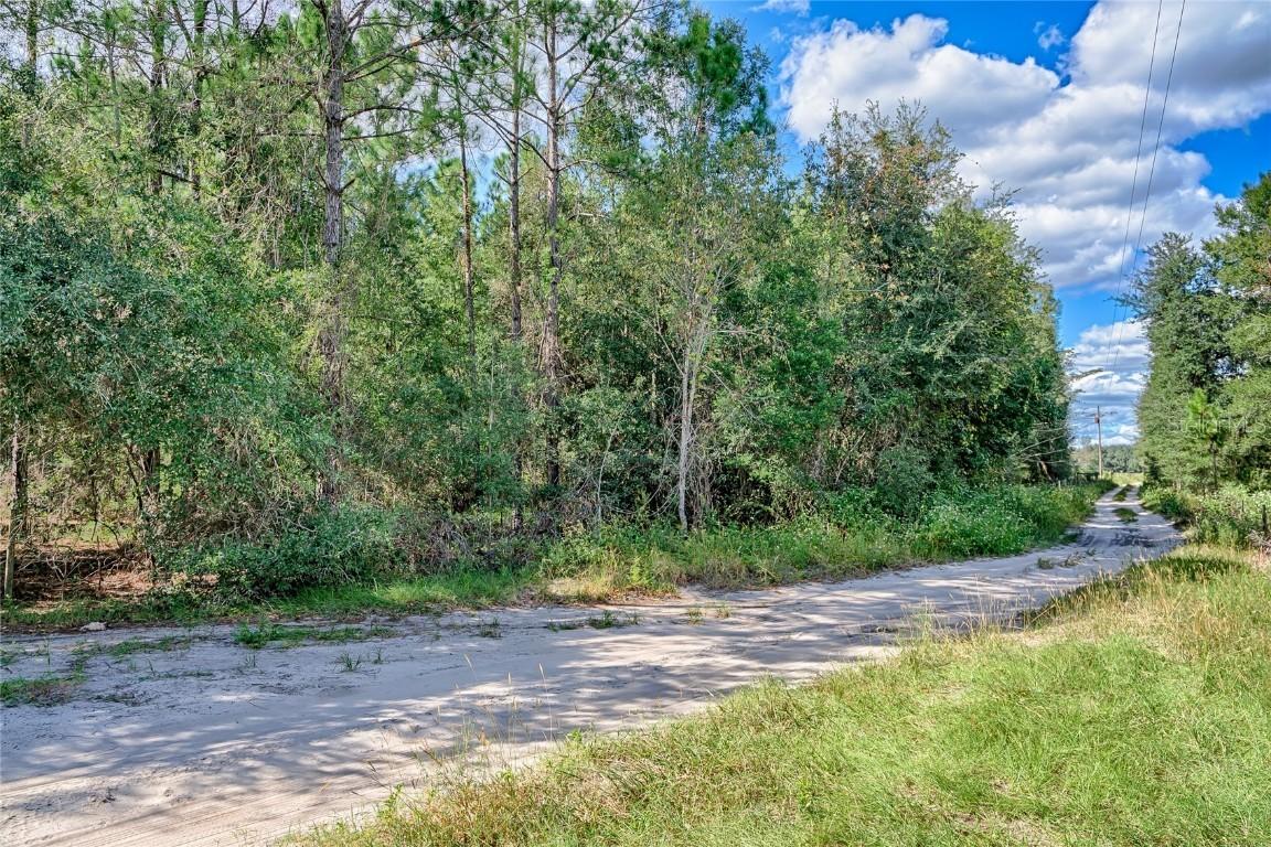 SW 234th St., Newberry, FL 32669