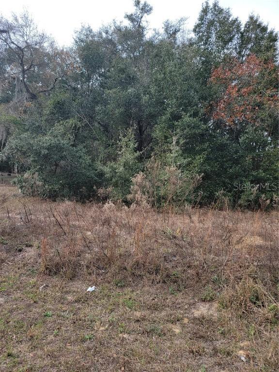 00 SW 112 Ave., Dunnellon, FL 34432