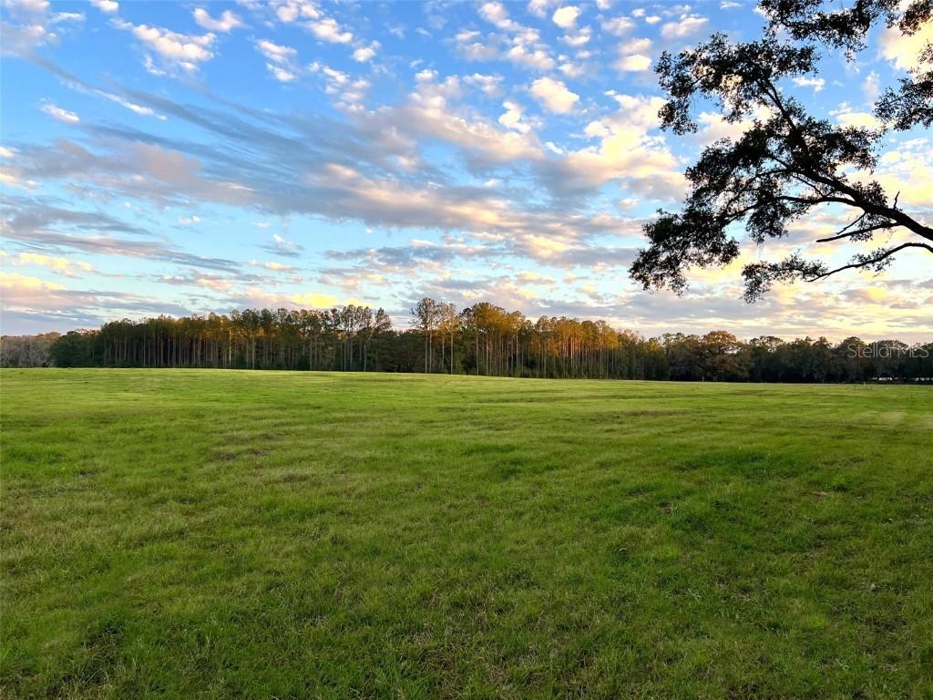 0000 SW 15th Ave., Newberry, FL 32669