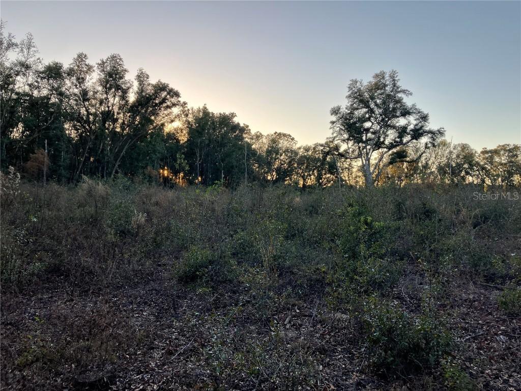 00 NW 70th Avenue, Alachua, FL 32615