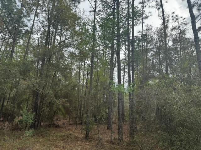 0000 SW 30 Ln., Ocala, FL 34481