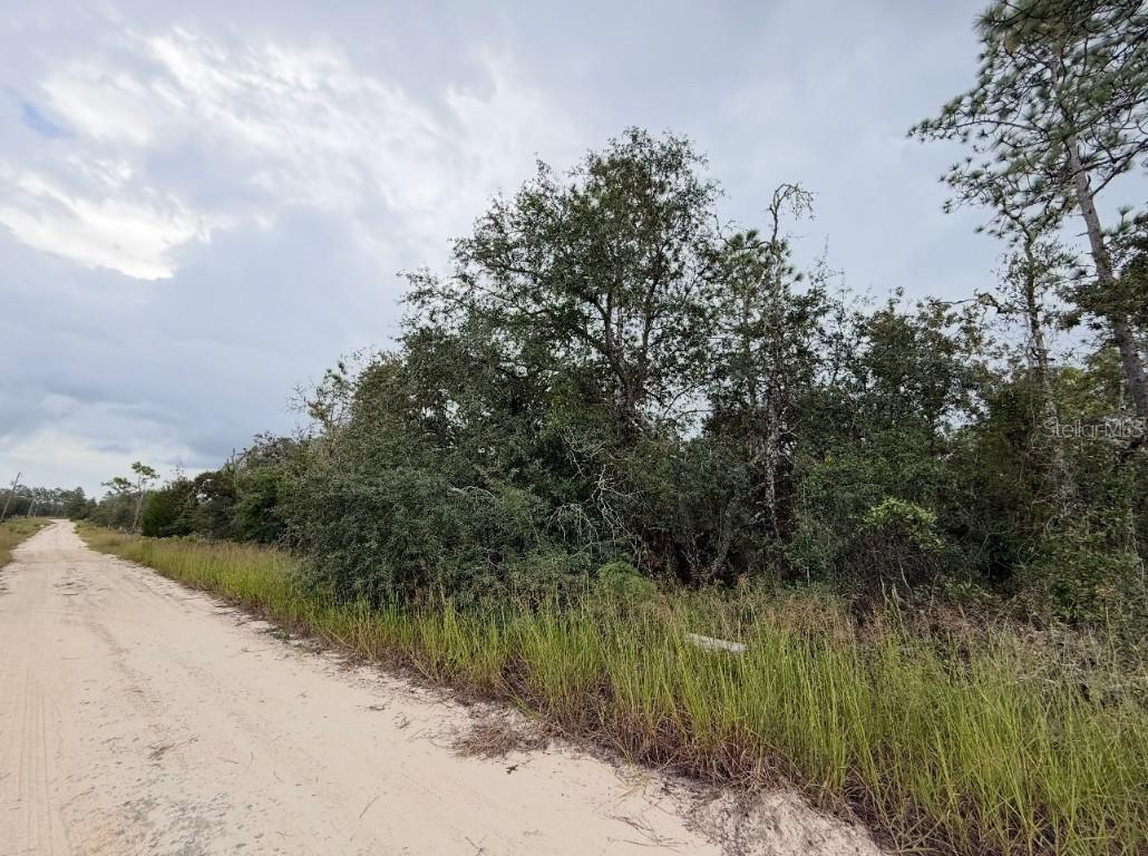NE 66th Lane, Williston, FL 32696
