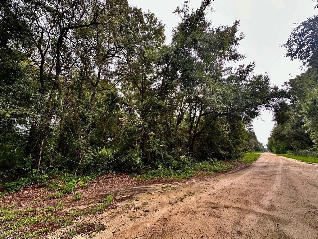 NW 76th Terrace, Chiefland, FL 32626