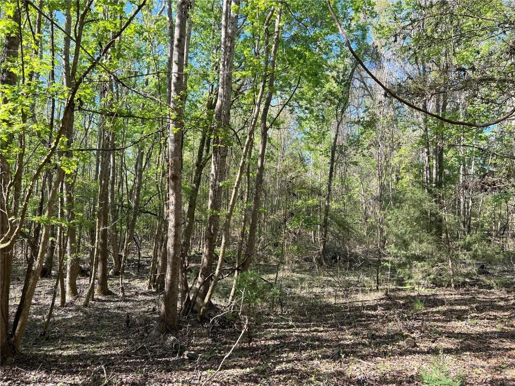 TBD SW Drew Feagle Rd., Fort White, FL 32038