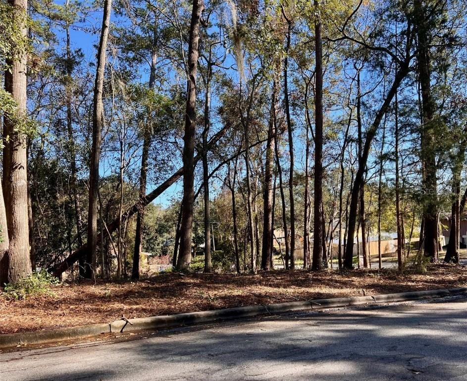 TBD NW 52nd Ter., Gainesville, FL 32605