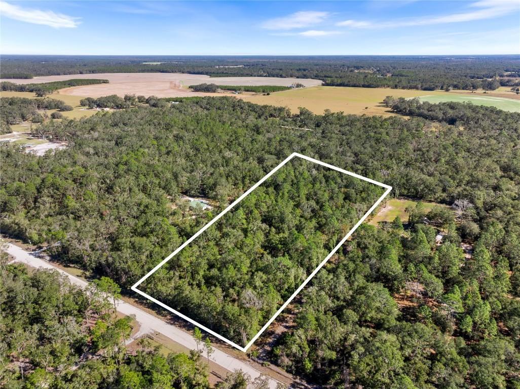Off Ne 628th St, Old Town, FL 32680