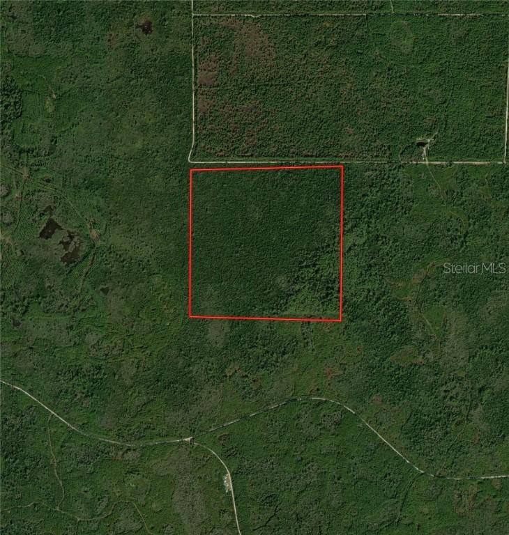 Lakebird Rd., Perry, FL 32347