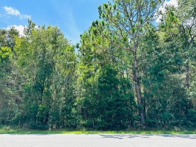 705 SW 4th Ave., Chiefland, FL 32626