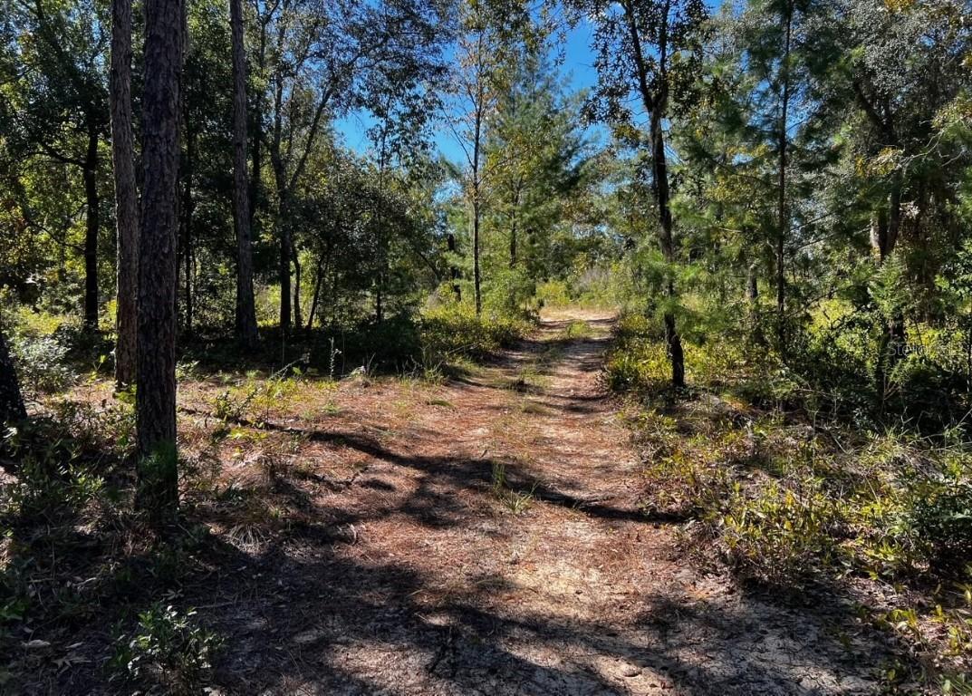 146 Westwood Dr., Interlachen, FL 32148