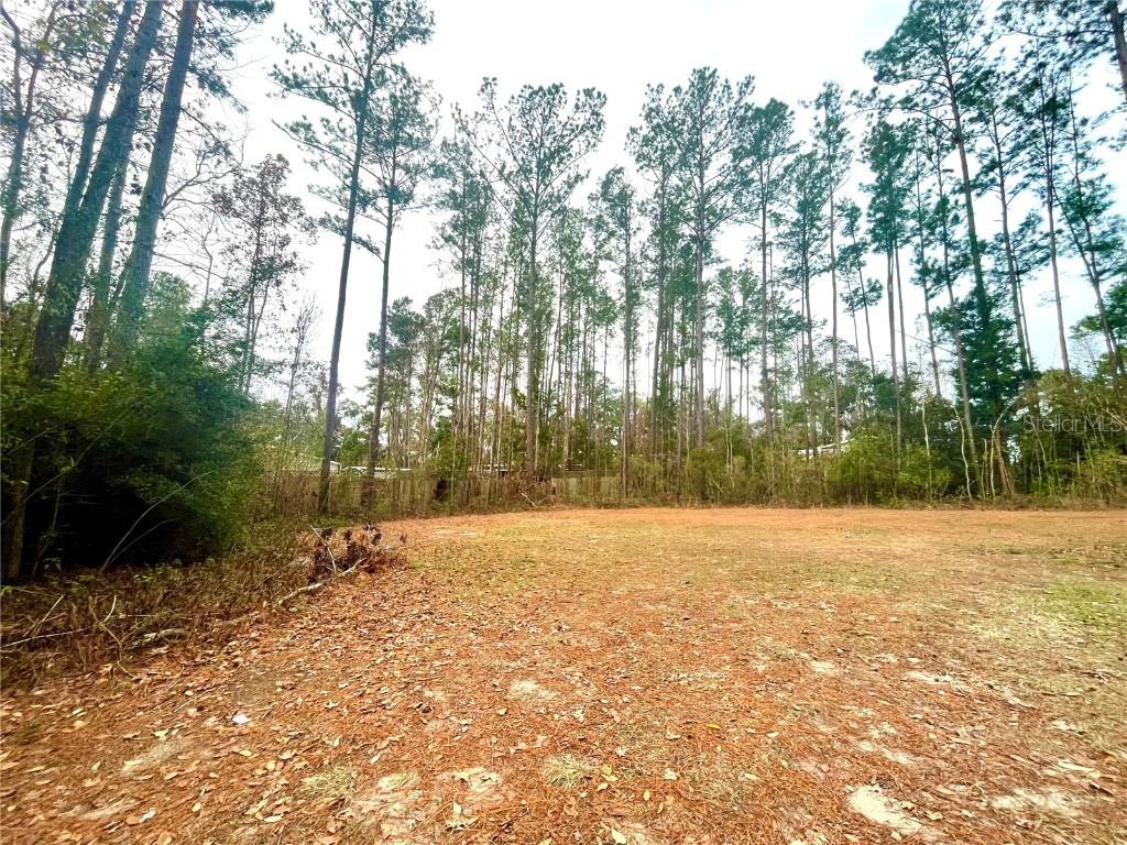 16290 NW 141 St., Alachua, FL 32615