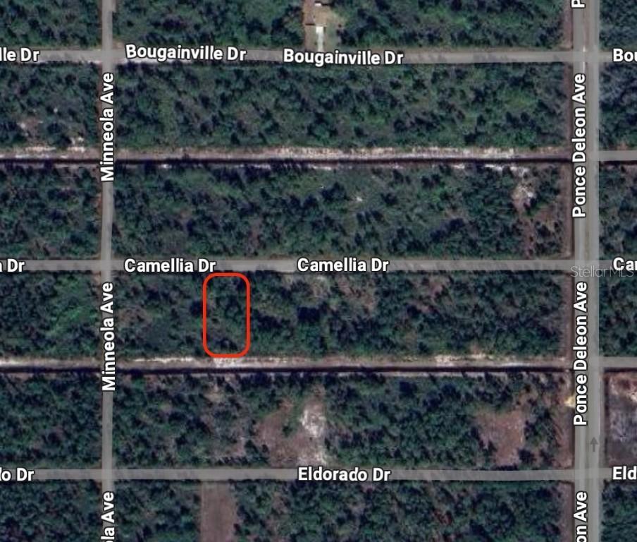 419 Camellia Dr., Indian Lake Estates, FL 33855