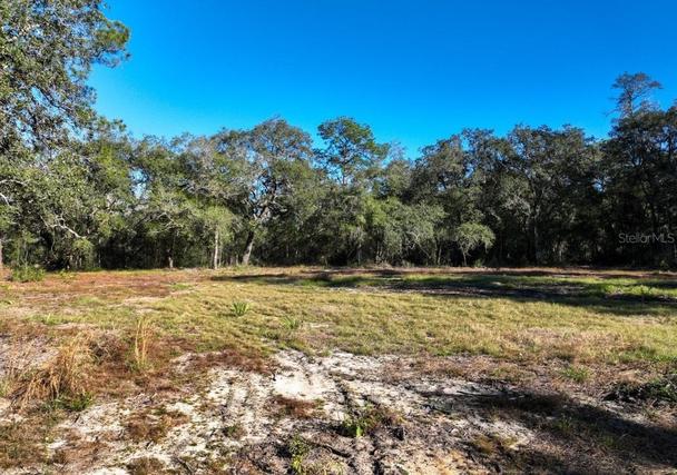Homes Just Sold in Melrose: February 11th to February 17th