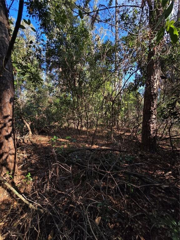 TBD SW Alabama Glen, Fort White, FL 32038