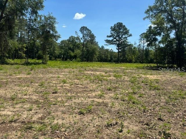 TBD NE 78th Ln., Bronson, FL 32621