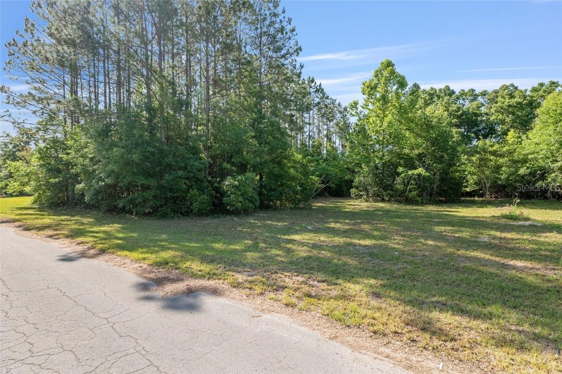 NW 173rd St., Trenton, FL 32693