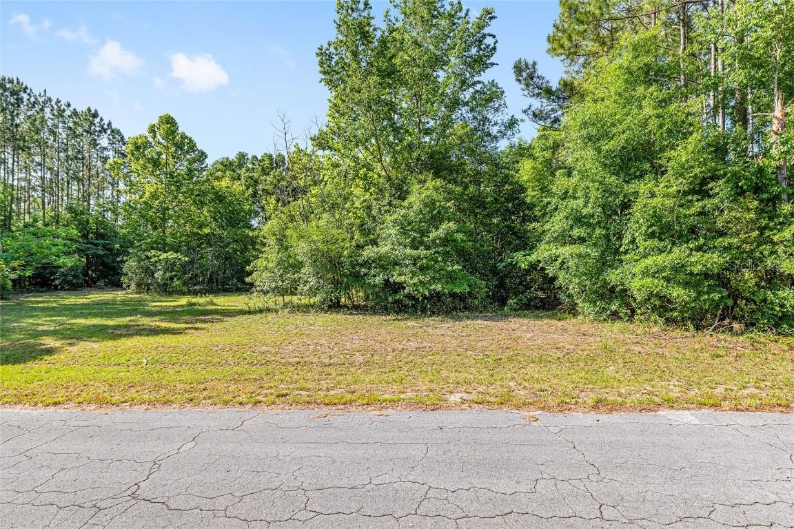 NW 173rd St., Trenton, FL 32693