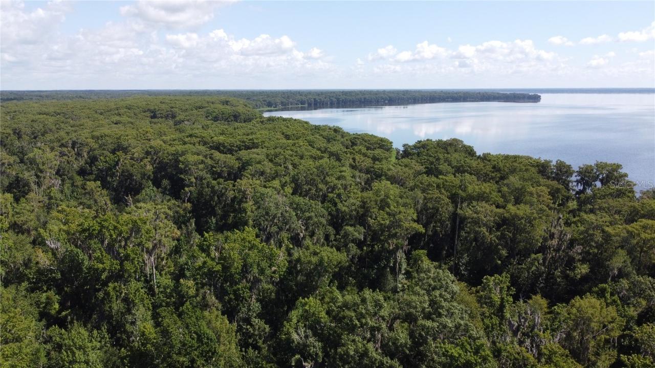 5805 Lake Shore Dr., Gainesville, FL 32641