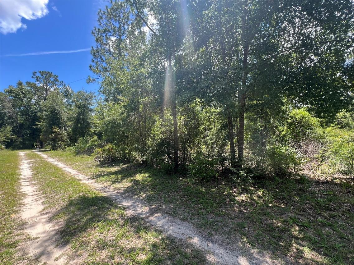 000 NE 822nd St., Old Town, FL 32680
